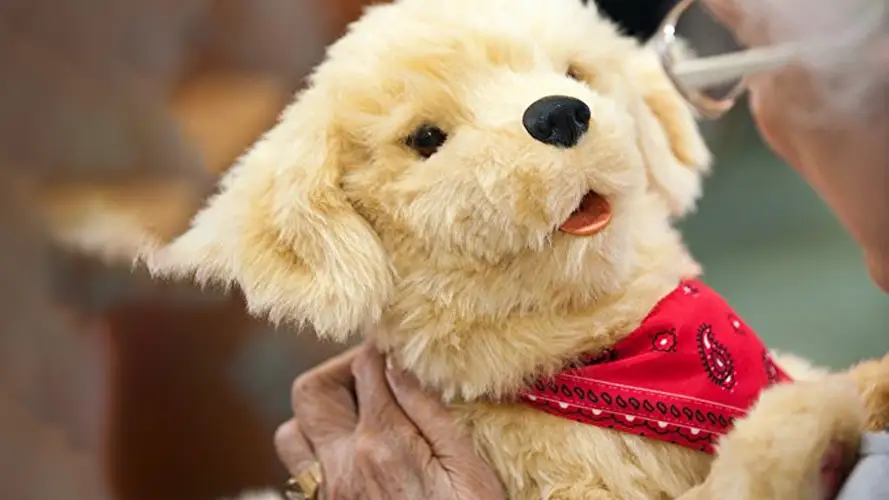 older female adult holding onto a stuffed small yellow lab as a companion pet, a part of the companion pets program to help older adults combat loneliness